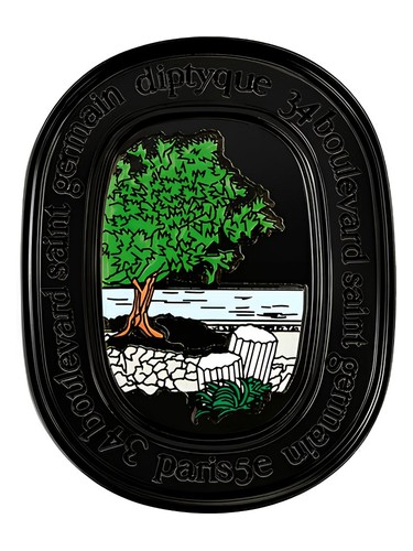 Philosykos Solid Perfume Diptyque — аромат