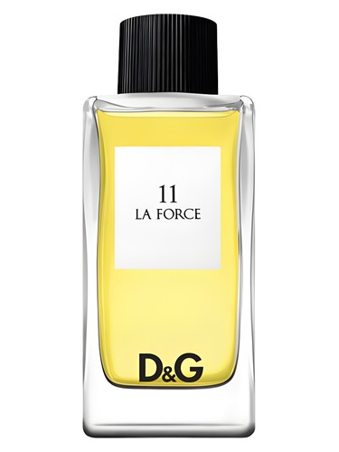 D&G Anthology La Force 11 Dolce&Gabbana