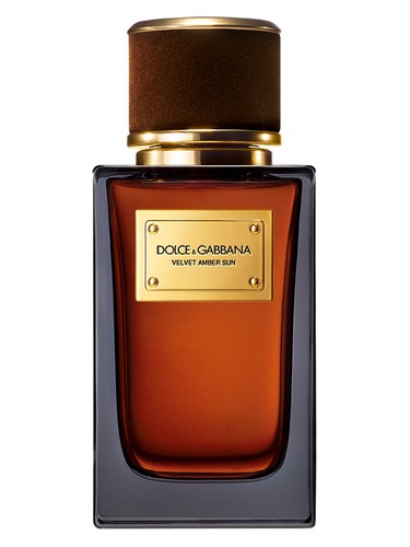 Velvet Amber Sun Dolce&Gabbana — аромат