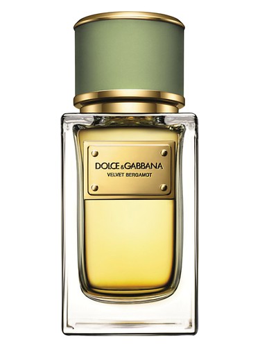 Velvet Bergamot Dolce&Gabbana — аромат