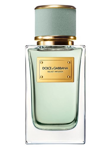 Velvet Infusion Dolce&Gabbana