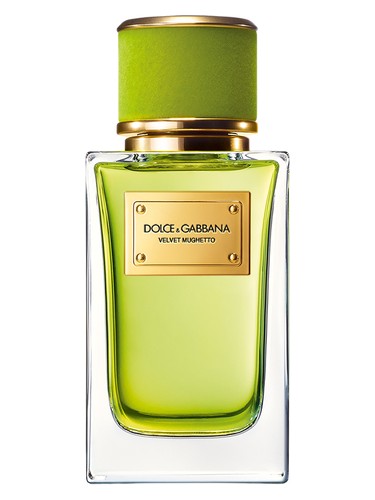 Velvet Mughetto Dolce&Gabbana — аромат