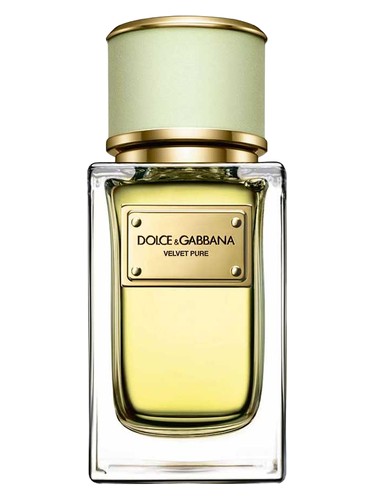 Velvet Pure Dolce&Gabbana — аромат
