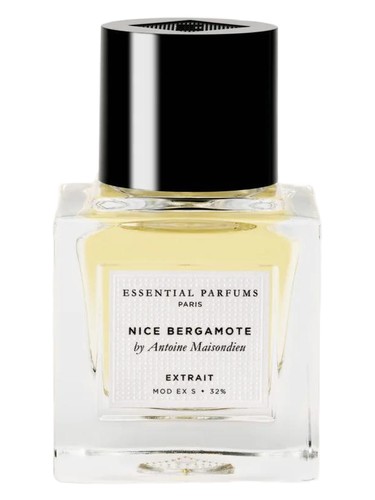 Ambre Nuit Dior — аромат