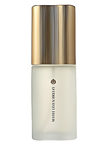White Linen Breeze Estée Lauder — аромат
