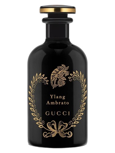 Ylang Ambrato Gucci — аромат