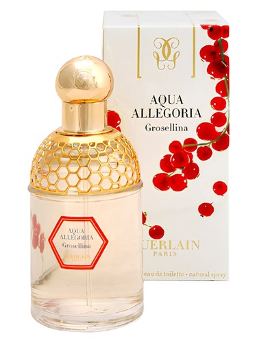 Aqua Allegoria Grosellina Guerlain — аромат