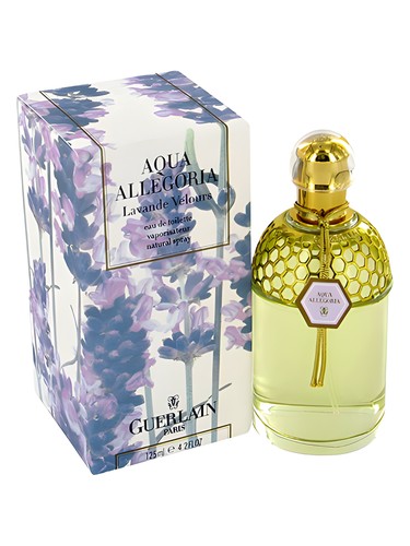 Aqua Allegoria Lavande Velours Guerlain — аромат