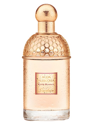 Aqua Allegoria Rosa Blanca Guerlain — аромат