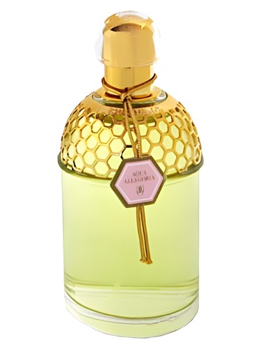 Aqua Allegoria Rosa Magnifica Guerlain — аромат