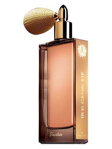 Iris Ganache Guerlain — аромат
