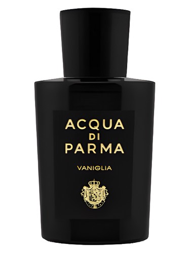 Nu Yves Saint Laurent