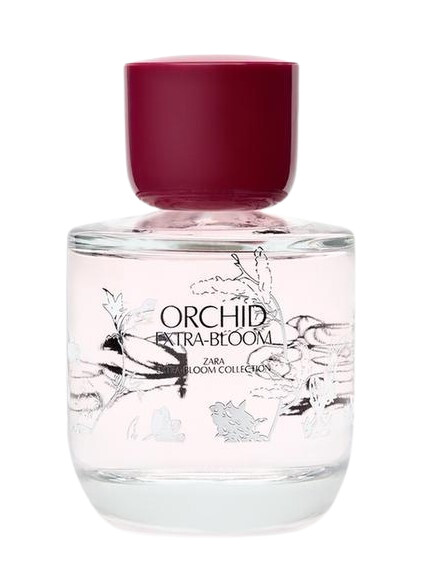 Orchid Extra-Bloom Zara — аромат