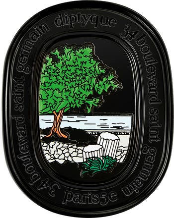 Philosykos Solid Perfume Diptyque — аромат