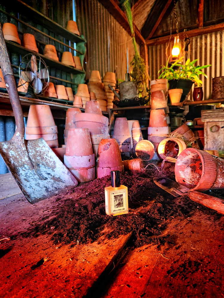 Wilcox's Potting Shed Solstice Scents — аромат