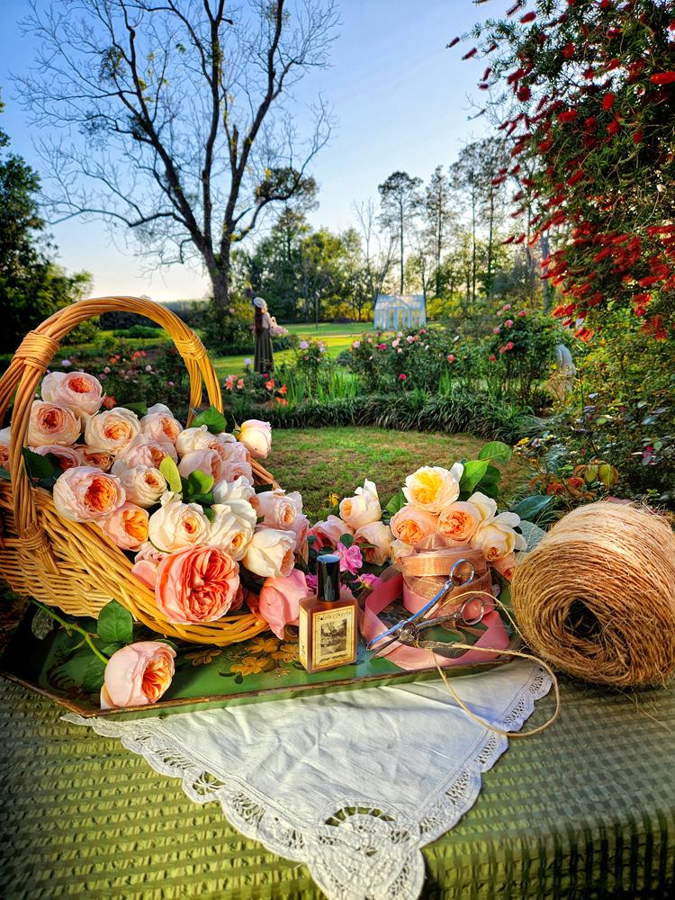 Estate Rosarium Solstice Scents — аромат