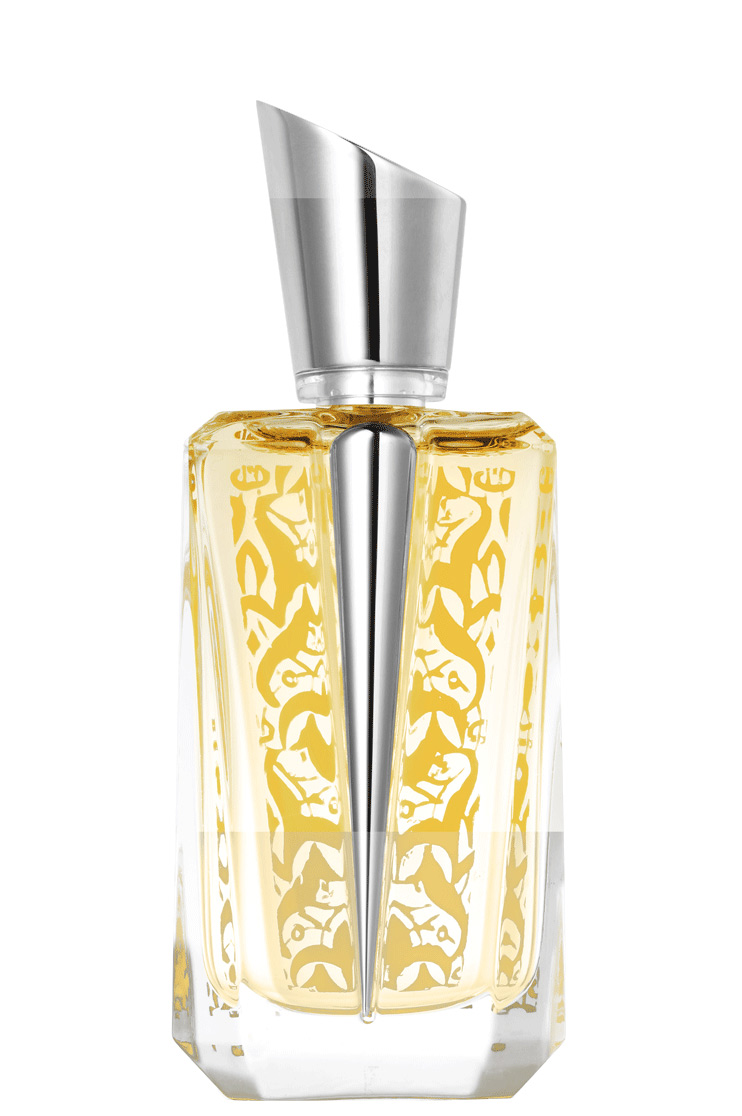 Mirror Mirror Collection - Miroir des Voluptes Mugler