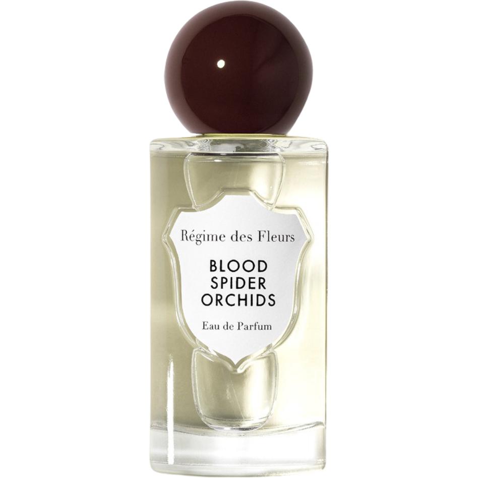 Blood Spider Orchids 2025 Régime des Fleurs
