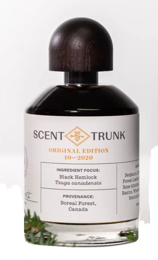 Black Hemlock Scent Trunk — аромат