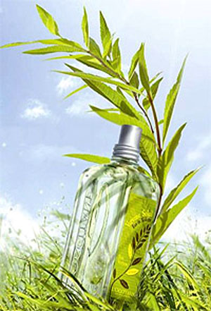 Verbena Sun L'Occitane en Provence