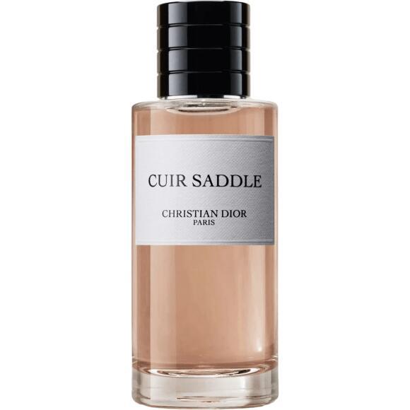 Cuir Saddle Dior