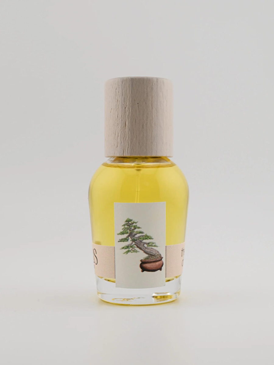 The Idea of You Cirrus Parfum — аромат