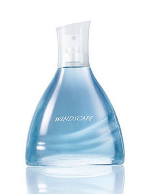 Windscape for Him Avon — аромат