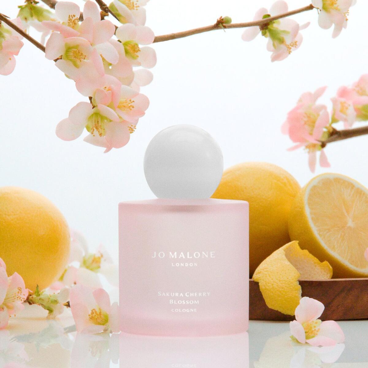 Sakura Cherry Blossom Jo Malone London