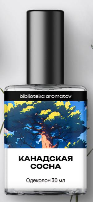 Canadian Pine (Канадская сосна) biblioteka aromatov Lattafa Perfumes — аромат