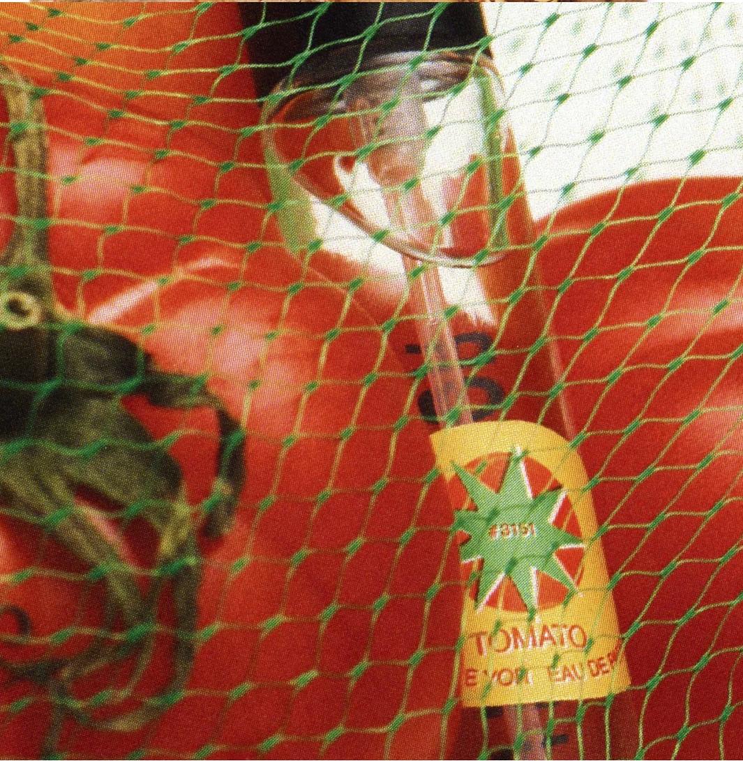 TOMATO TSU LANGE YOR — аромат