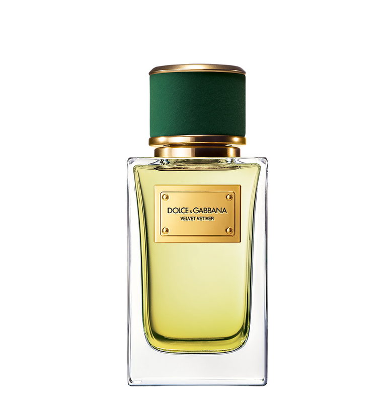 Velvet Vetiver Dolce&Gabbana — аромат