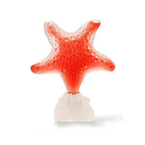 Star Red Passion Seajewels — аромат