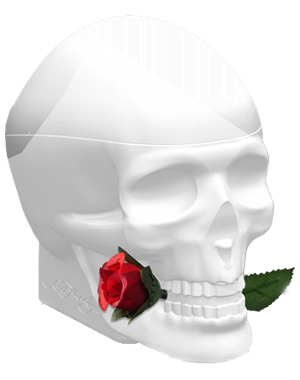 Ed Hardy Skulls & Roses for Her Christian Audigier — аромат