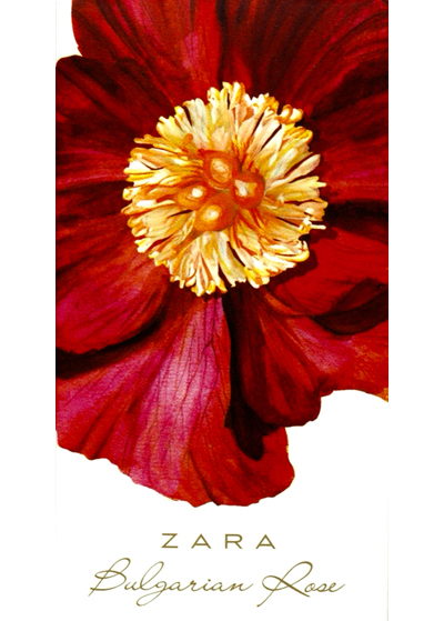 Bulgarian Rose Zara — аромат