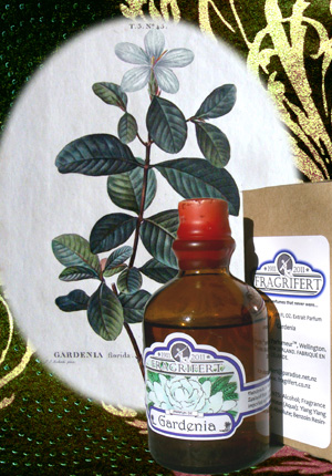 Gardenia Fragrifert Parfumeur — аромат