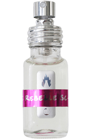 Rose Rebelle What We Do Is Secret — аромат