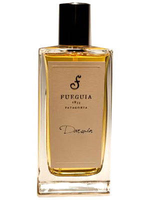 Darwin Fueguia 1833 — аромат