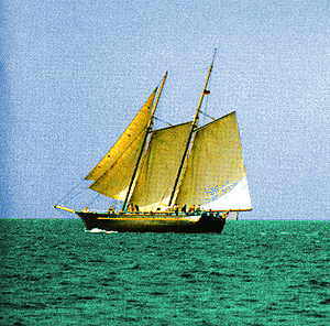 Sea Wood Abdes Salaam Attars Perfumes — аромат