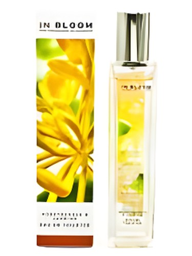 Jasmine and Honeysuckle Marks & Spencer — аромат