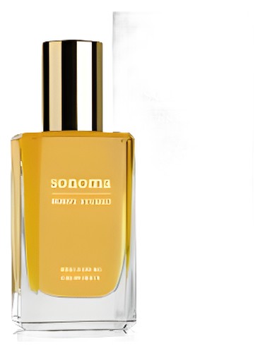 Spiced Citrus Vetiver Sonoma Scent Studio — аромат