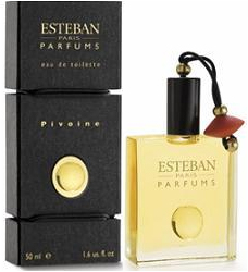 Pivoine Esteban — аромат