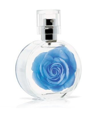 mark Garden Blu mark. Lattafa Perfumes — аромат