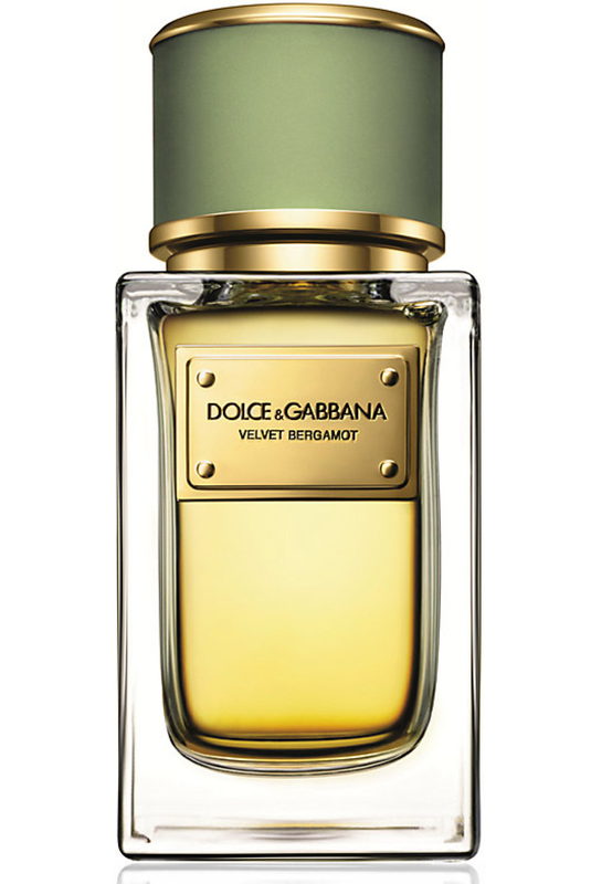 Velvet Bergamot Dolce&Gabbana — аромат