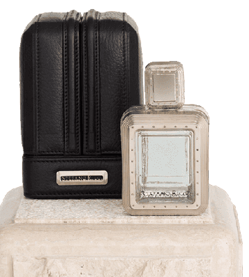 Platinum Stefano Ricci — аромат
