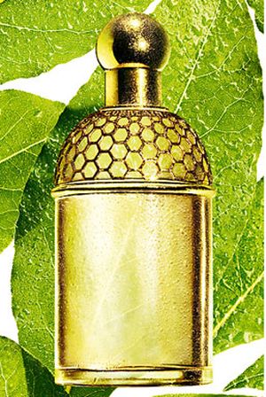 Aqua Allegoria Laurier - Reglisse Guerlain