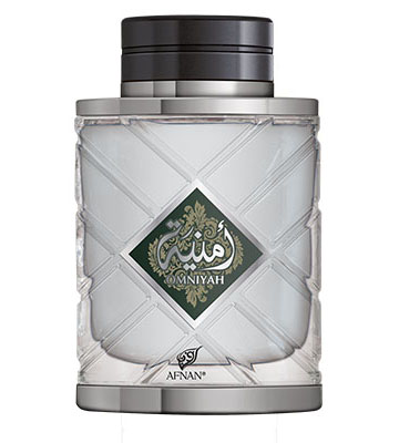 Omniya Silver Afnan — аромат