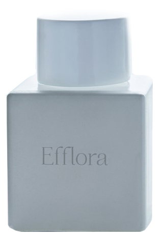 Efflora Odin — аромат