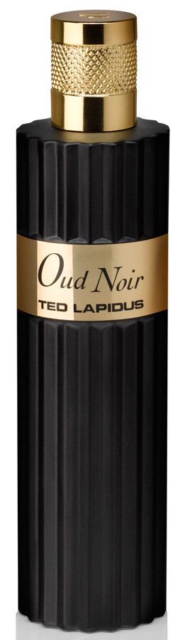 Oud Noir Ted Lapidus — аромат