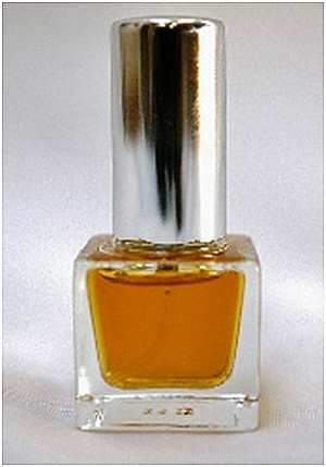 New York Man En Voyage Perfumes — аромат