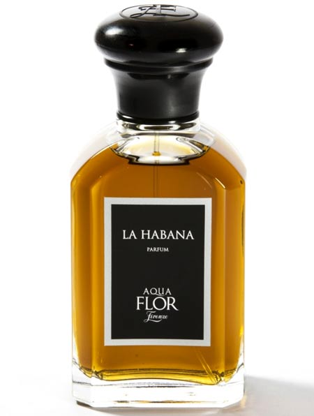 La Habana Aquaflor Firenze — аромат